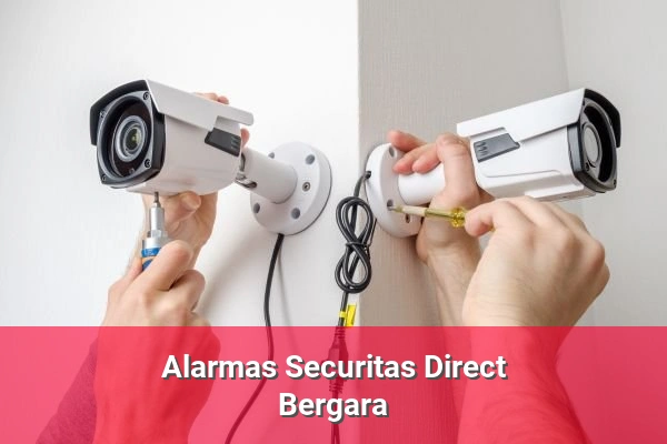 Alarmas Securitas Direct en Bergara