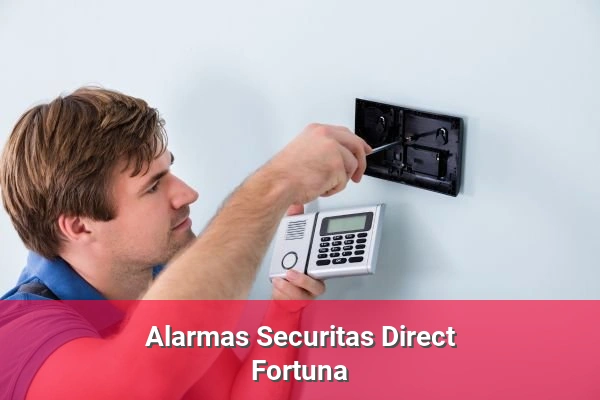Alarmas Securitas Direct en Fortuna