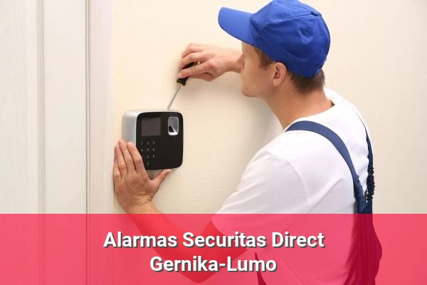 Alarmas Securitas Direct en Gernika-Lumo