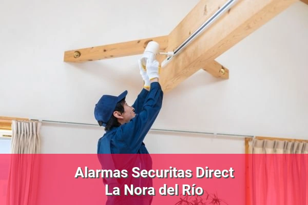 Alarmas Securitas Direct en La Ñora