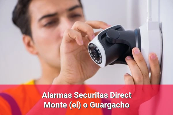 Alarmas Securitas Direct en Monte (el) o Guargacho
