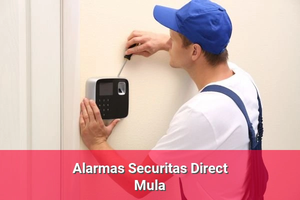 Alarmas Securitas Direct en Mula