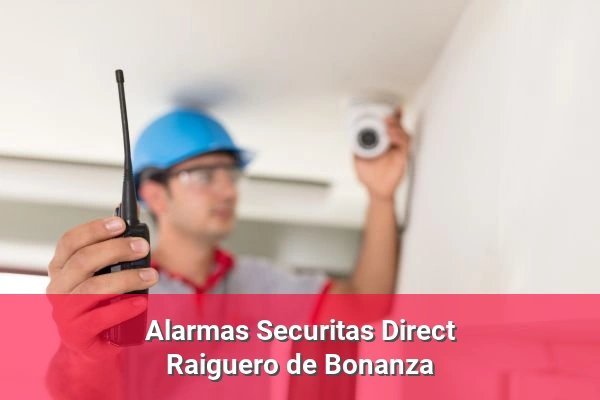 Alarmas Securitas Direct en Raiguero de Bonanza
