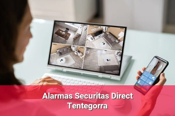 Alarmas Securitas Direct en Tentegorra